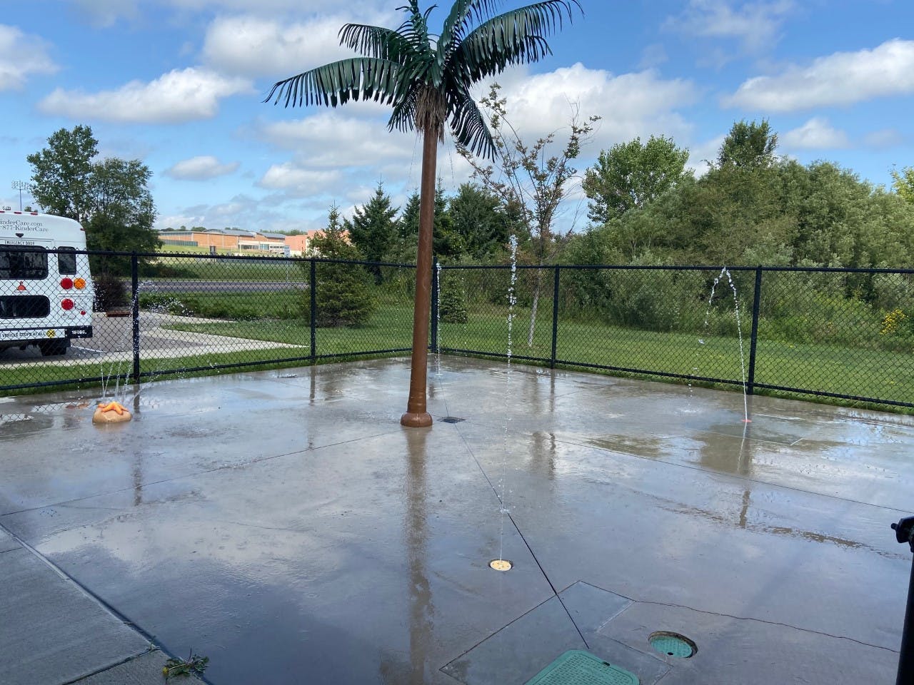 Splash pad with water spouting from a palm tree feature and ground
