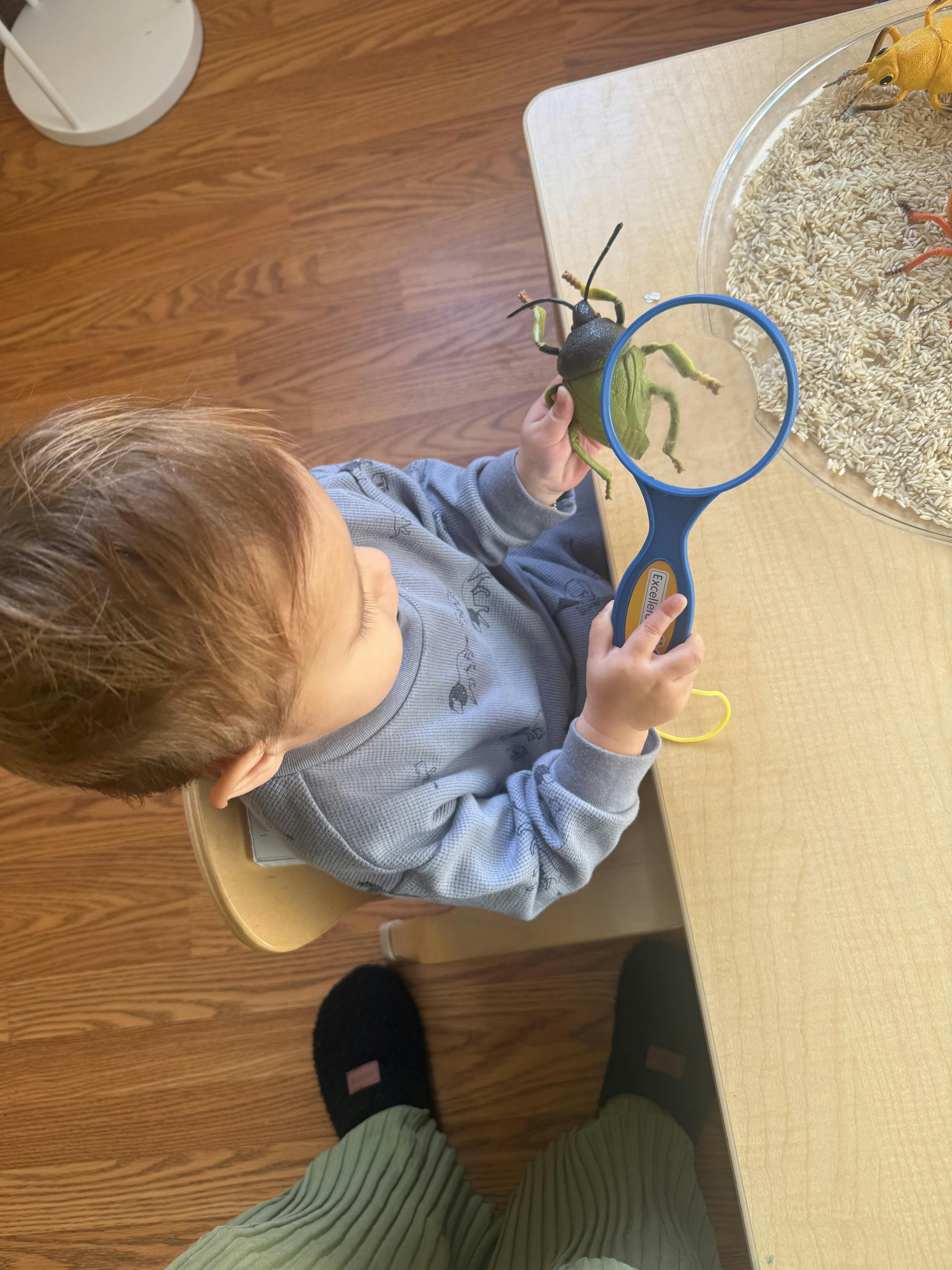 Child looking at a toy bug with a magnifying glass