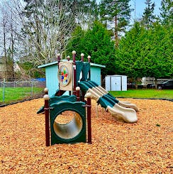 Playground structure with slide and tunnel on wood chips