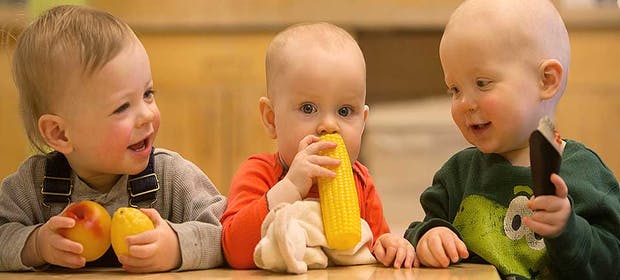 Three babies sitting at a table, one holding fruit, one holding a toy corn