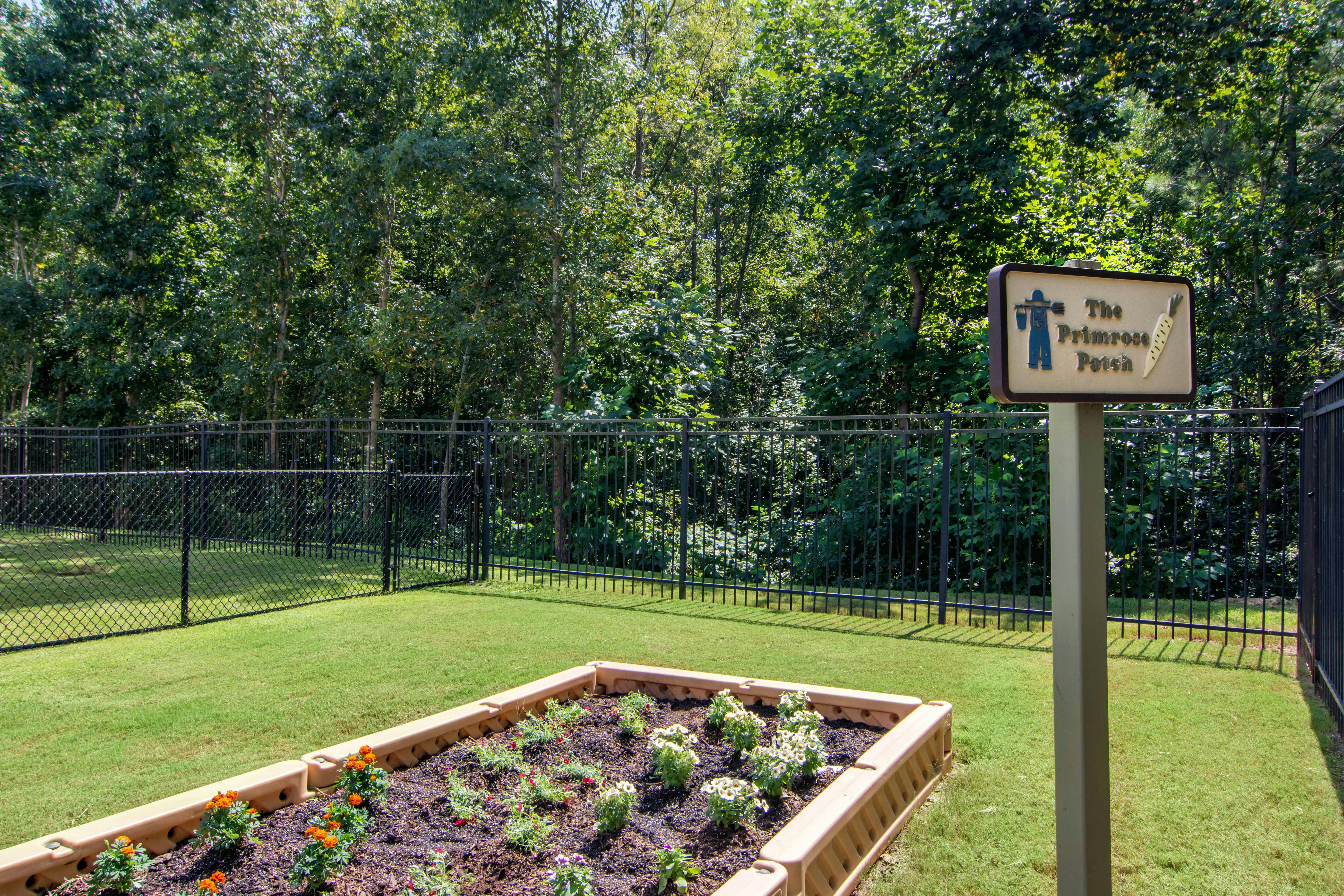 Raised garden bed with flowers next to a sign for "The Primrose Patch"