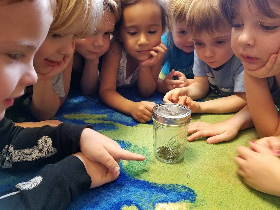 Children gathered around a jar with a person pointing at it