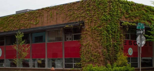 Building exterior covered in green ivy