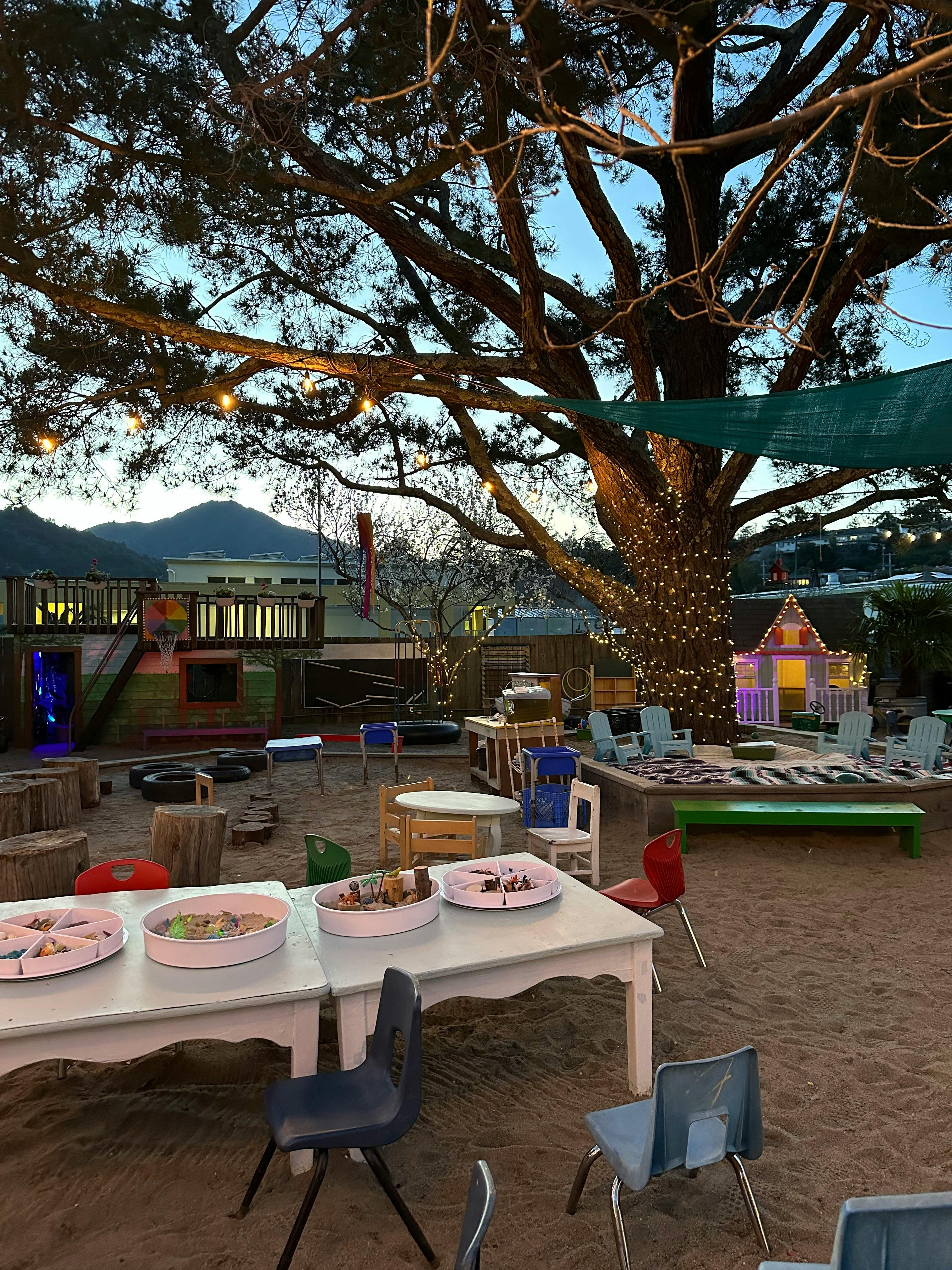Outdoor play area with tables, chairs, and a large tree with string lights