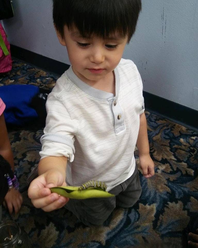 Child holding a leaf with a caterpillar