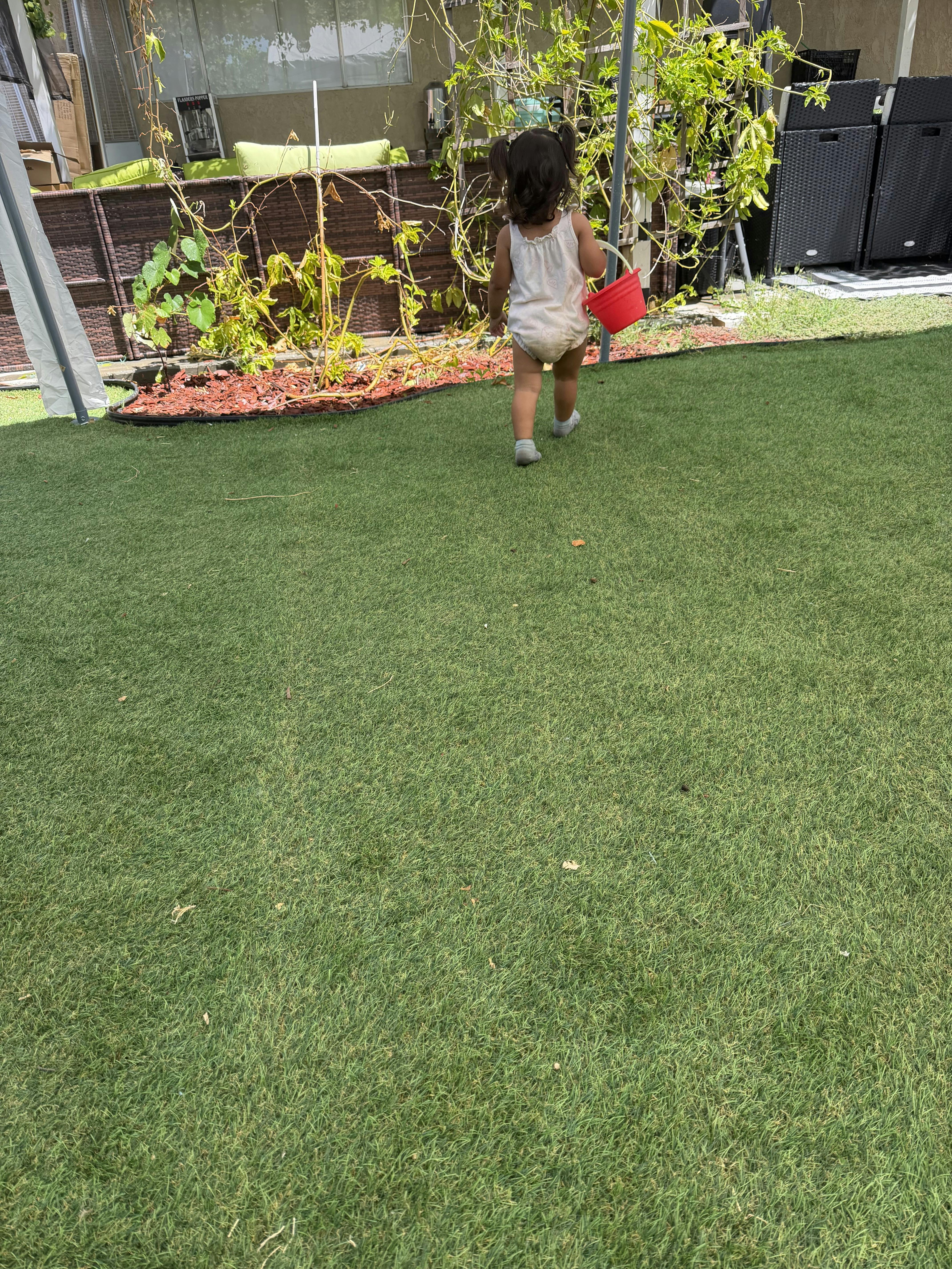 A child walking across a grassy lawn carrying a small red bucket