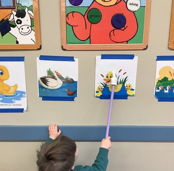 Child using a pointing stick to interact with picture cards on a wall