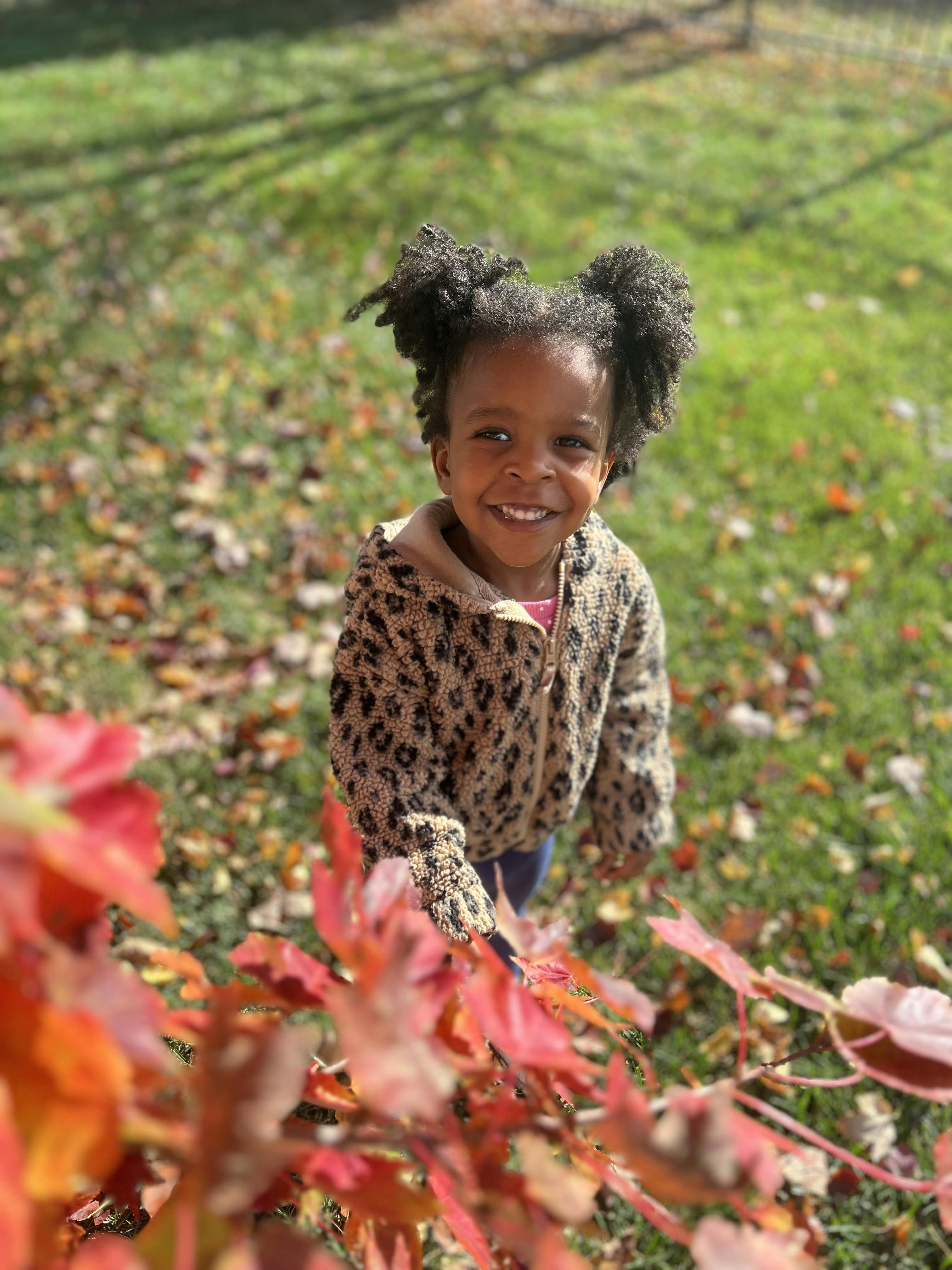 Child in a leopard print jacket standing in a yard with red leaves