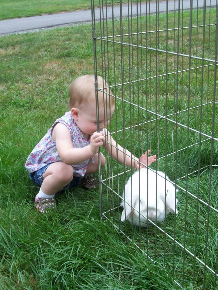 Child crouching by a wire cage with a white rabbit inside