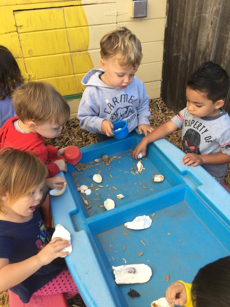 Children playing with shells and sand in a water table