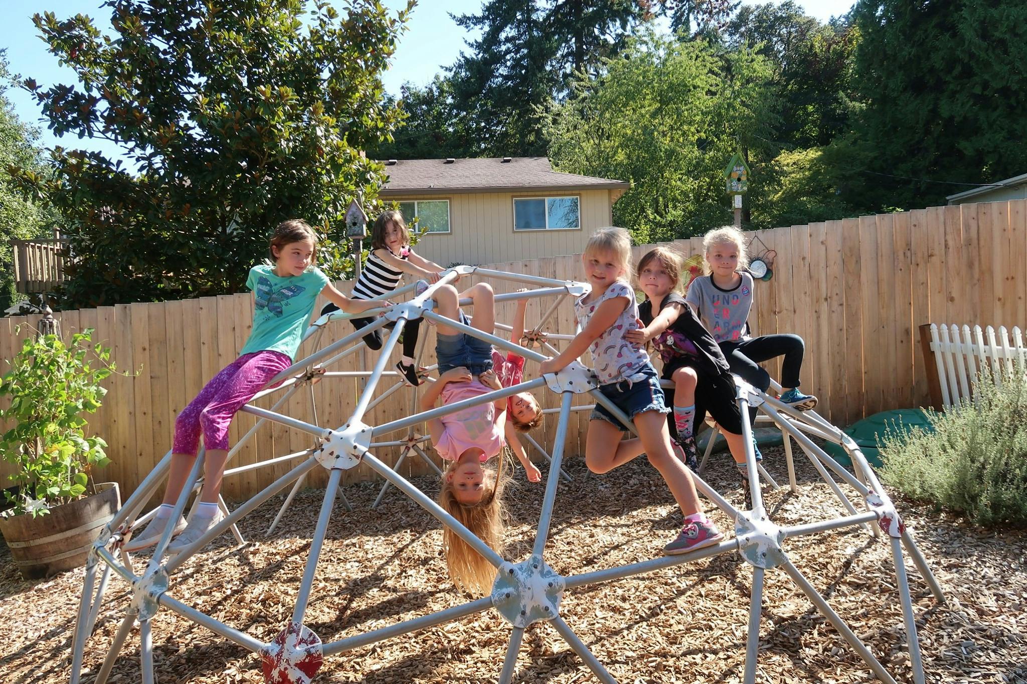 Children playing on a geodesic dome climber