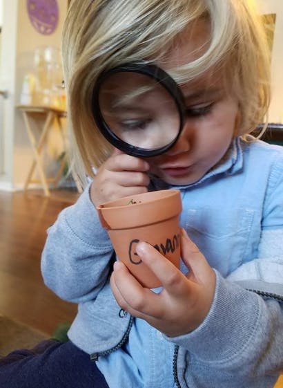 Child looking through a magnifying glass at a small pot