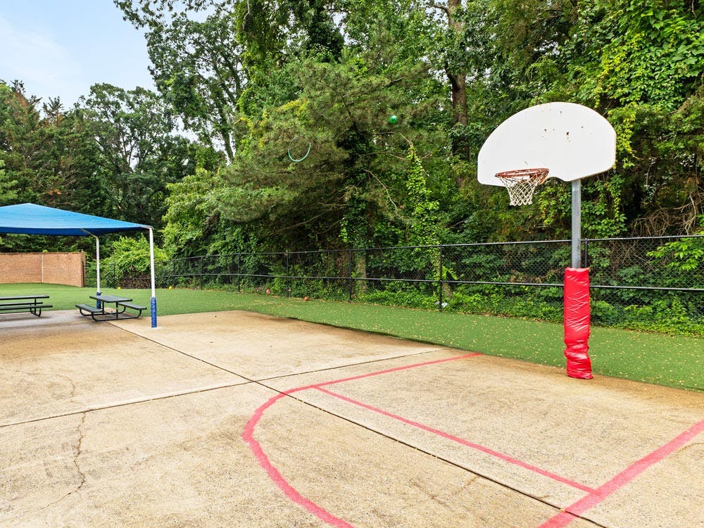 Outdoor basketball hoop and court next to a shaded picnic area
