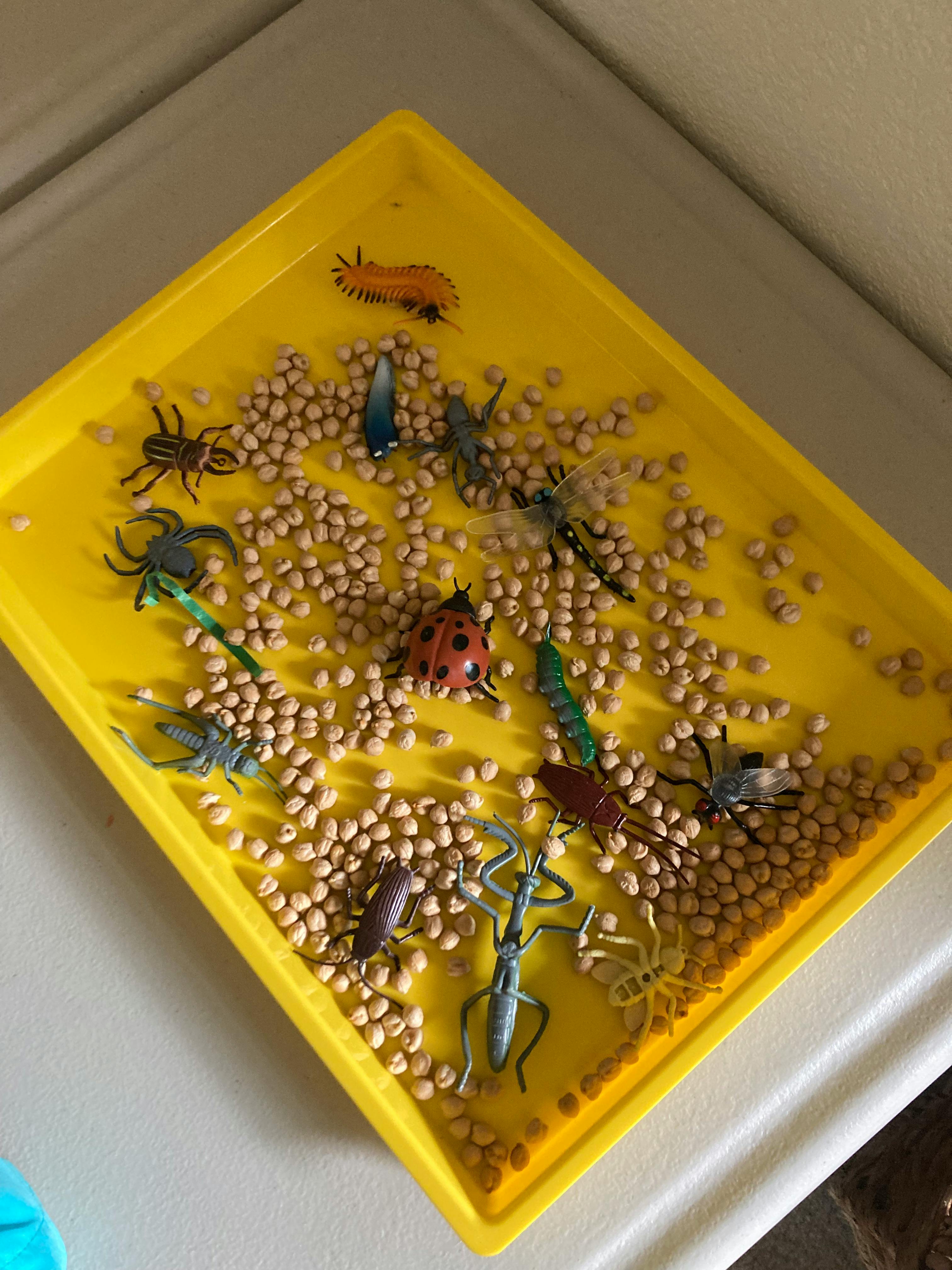 Plastic toy insects and chickpeas in a yellow tray
