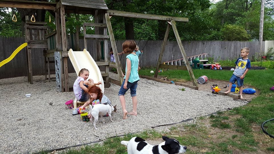 Children and a dog playing on a playground