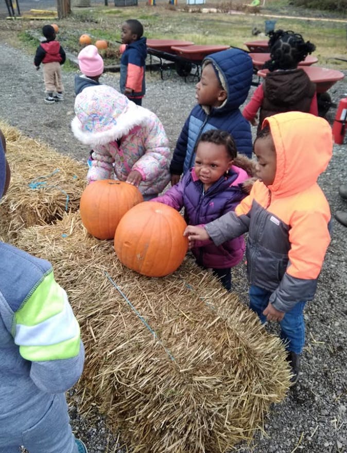 Children gathered around hay bales with pumpkins