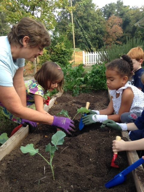 Adult and children planting in a garden bed of raised garden bed