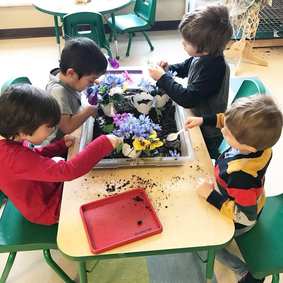 Four children playing with flowers and soil in a sensory bin at a table
