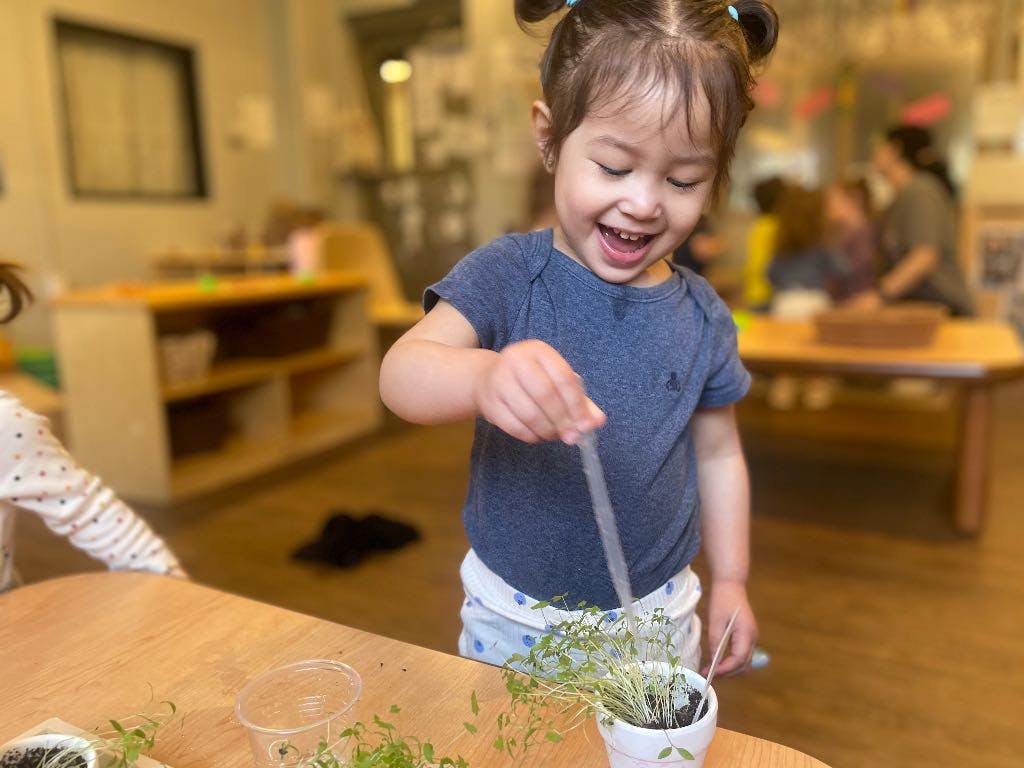 Child using a dropper to water a small plant in a classroom setting