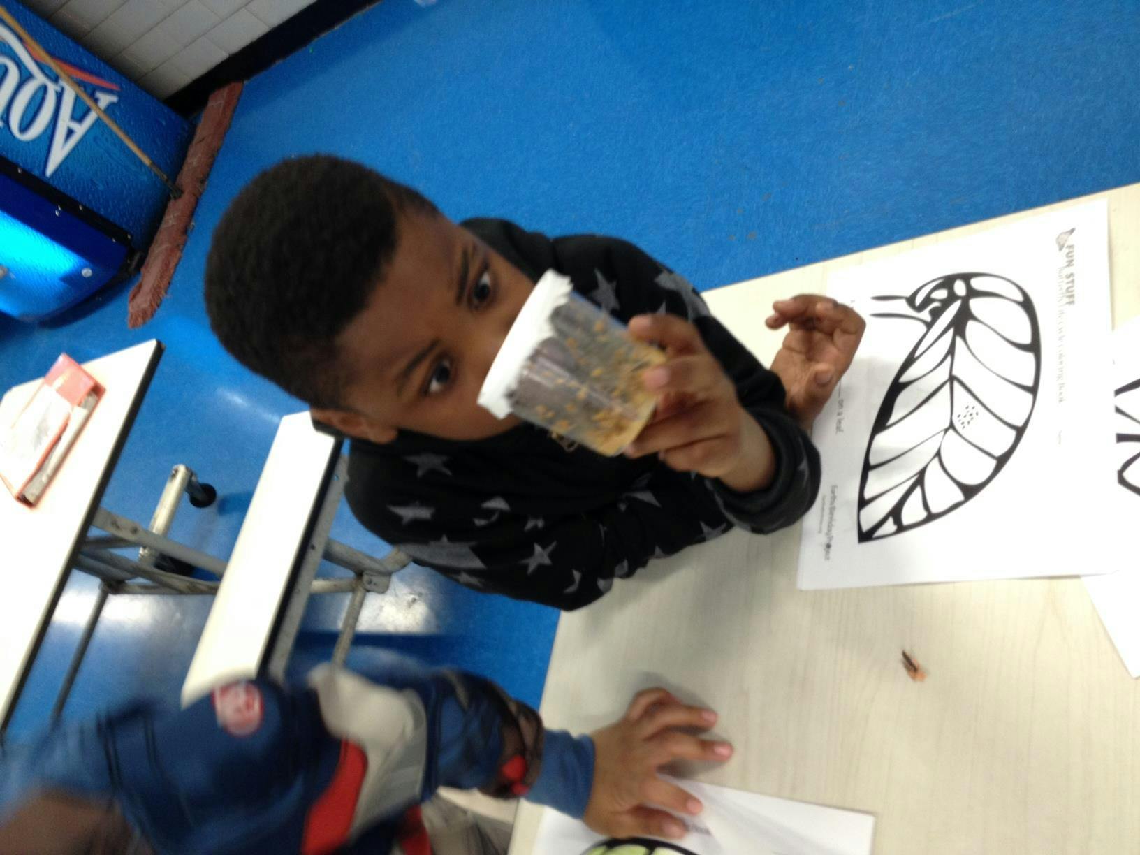 Child looking at a container with insects