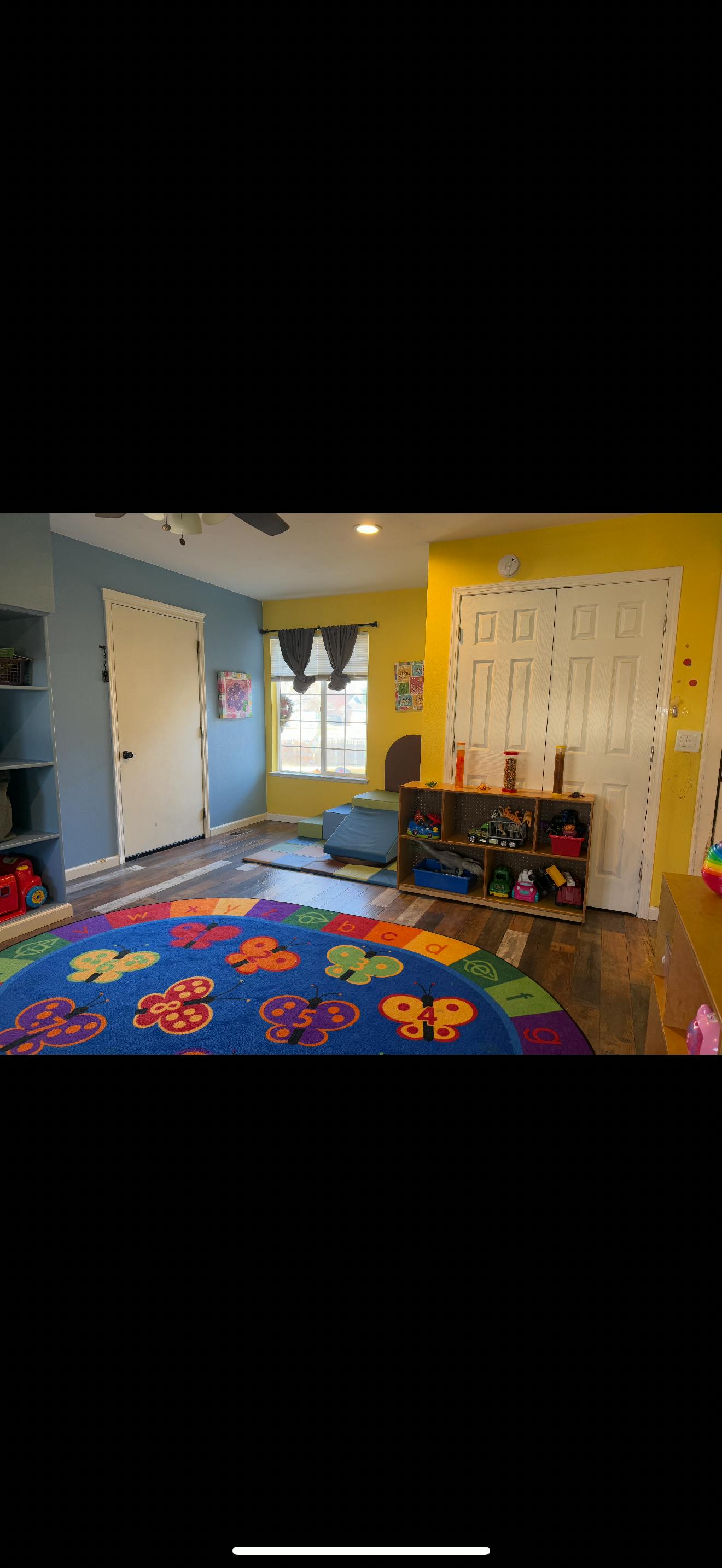 Playroom with colorful rug, shelves, and toys
