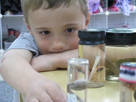 Child looking at specimens in jars