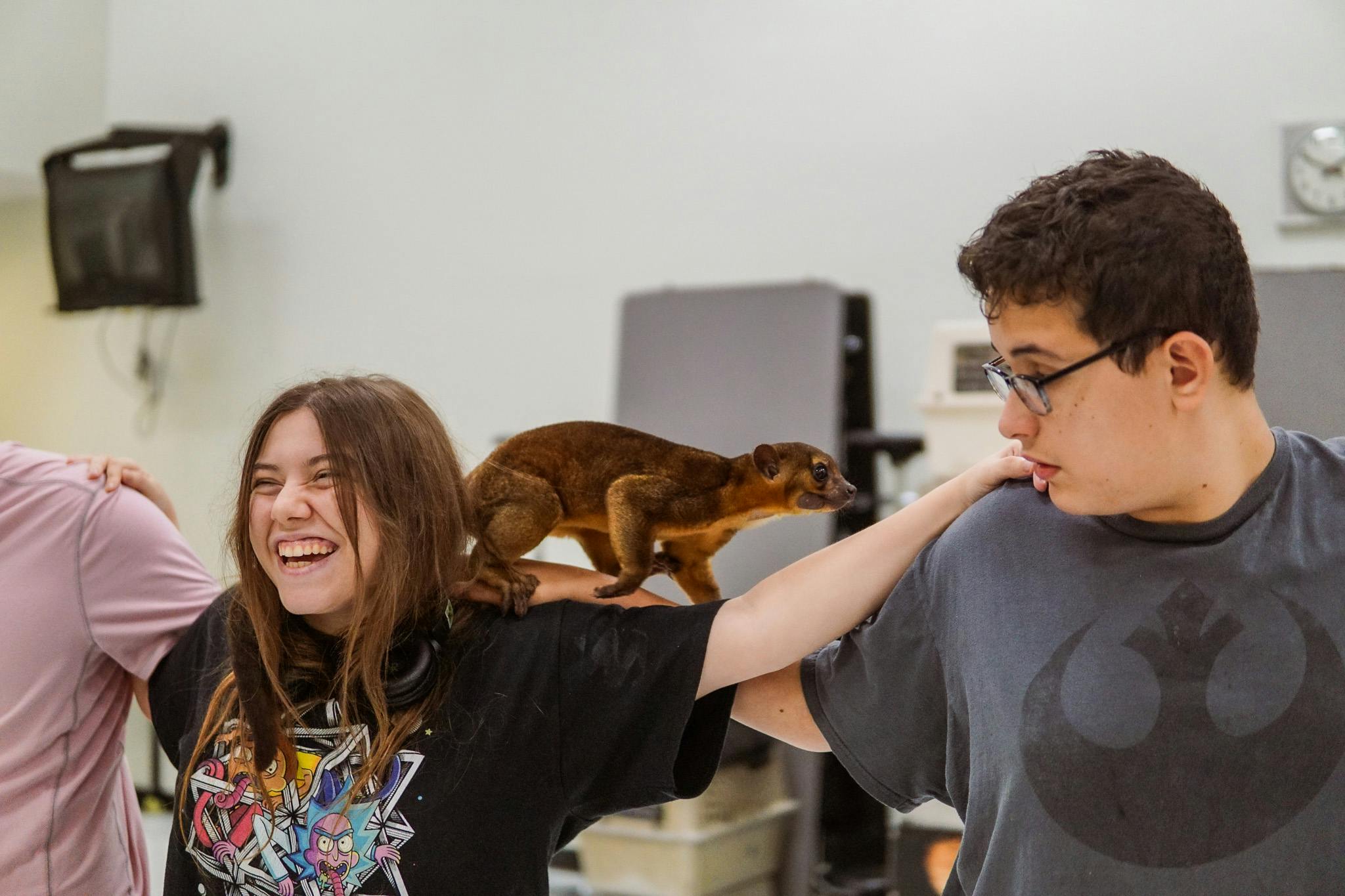 Small animal perched on the shoulders of two people