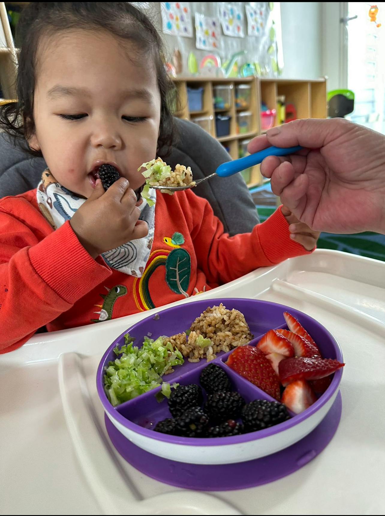 Child eating a blackberry while being spoon-fed