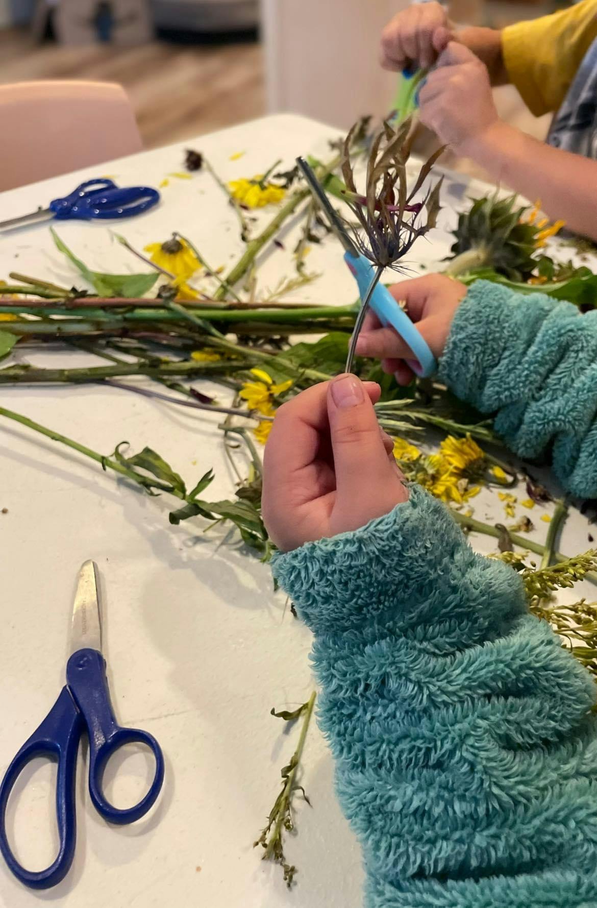 Child cutting a plant stem with scissors
