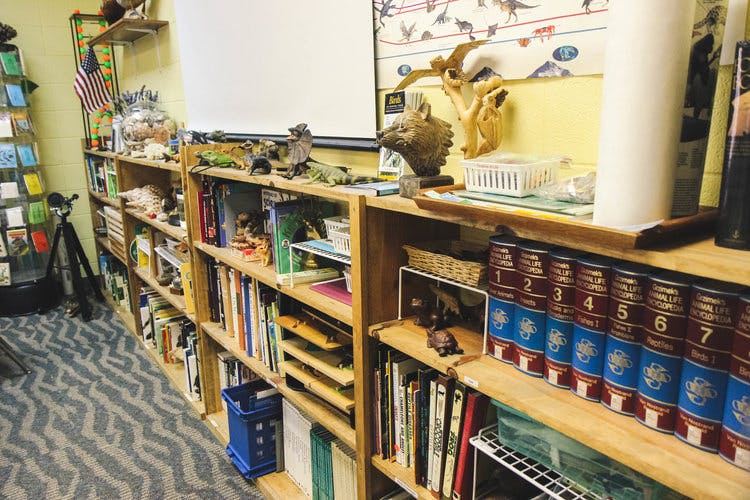 Bookshelves filled with books and various objects