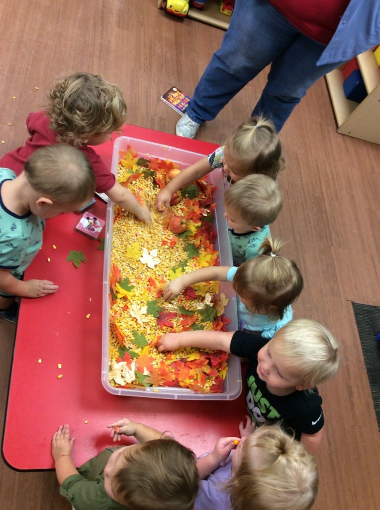 Children playing with a sensory bin filled with corn and autumn leaves