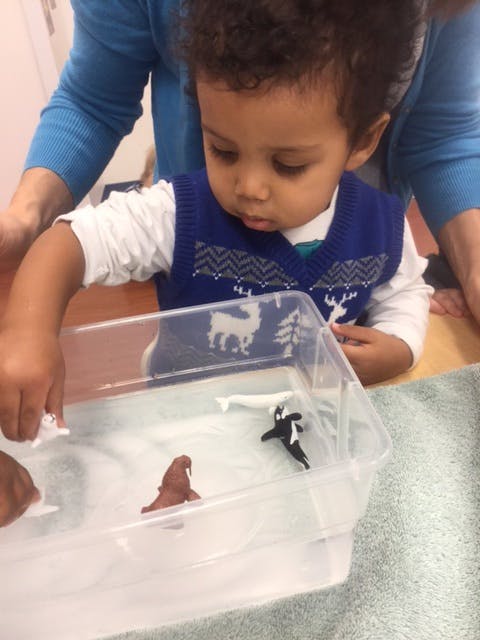 Child playing with animal toys in a clear container of water
