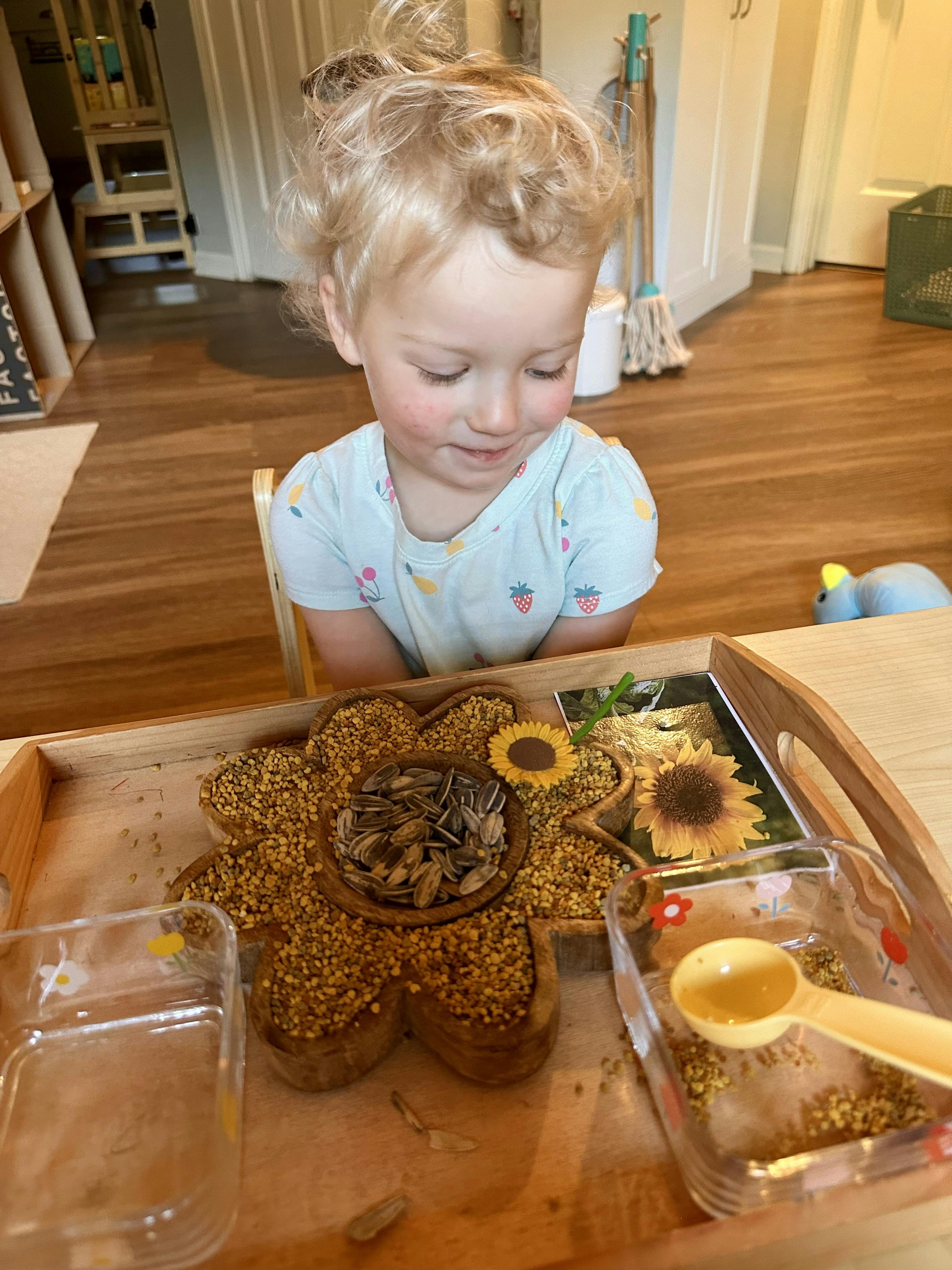 Child sitting at a table with a flower-shaped tray of sunflower seeds