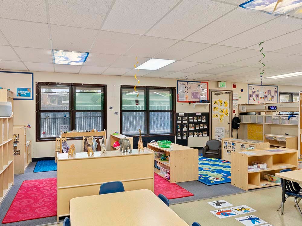 Empty classroom with tables, shelves, and animal figurines near windows