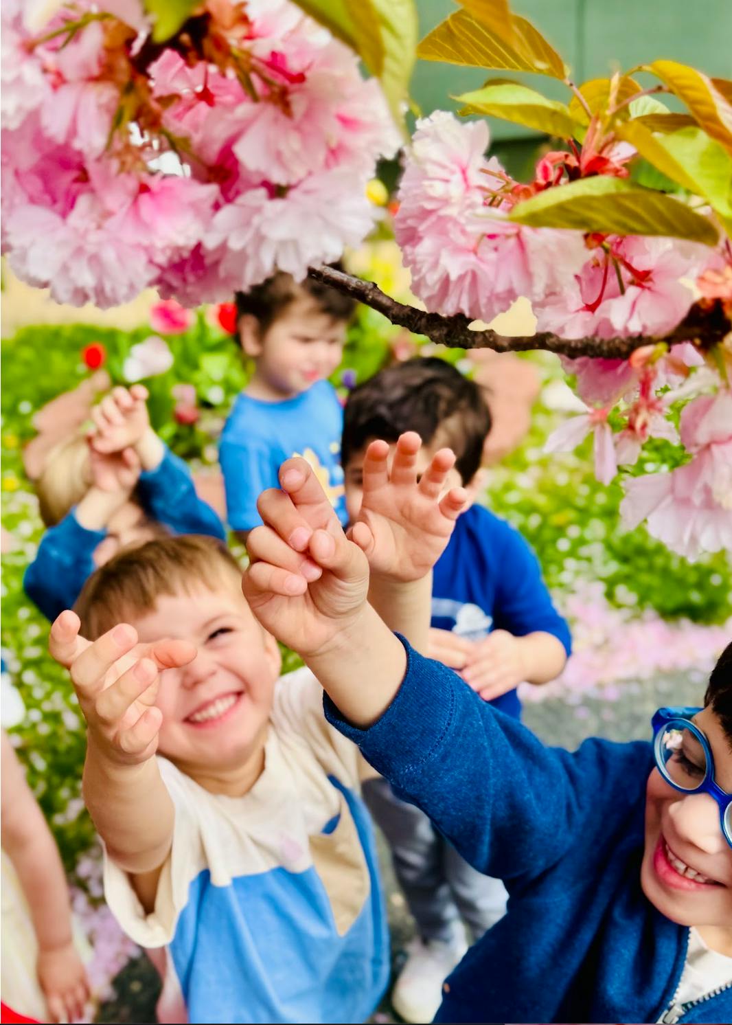 Children looking up at pink blossoms on a tree branch