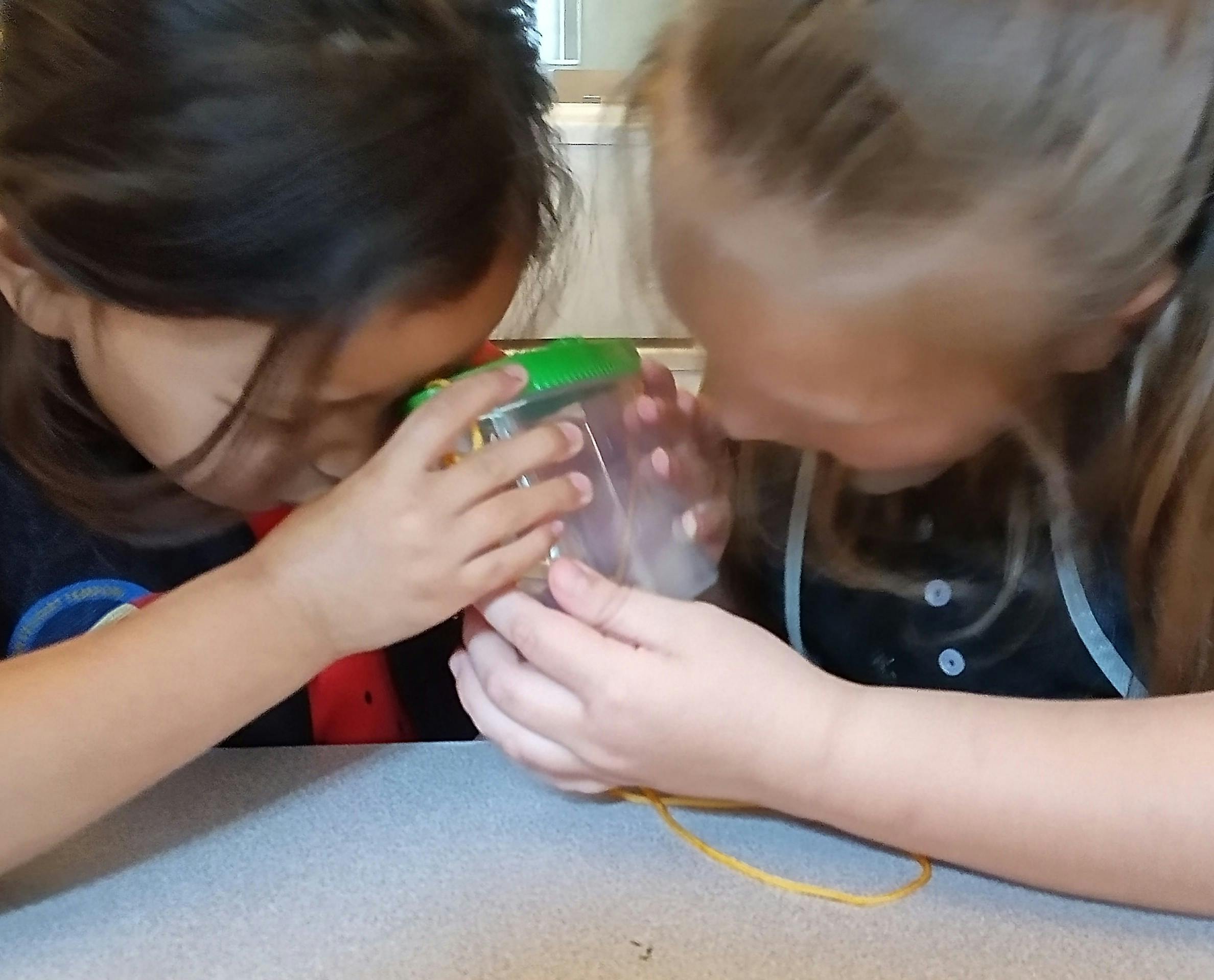 Two children looking into a clear container with a green lid
