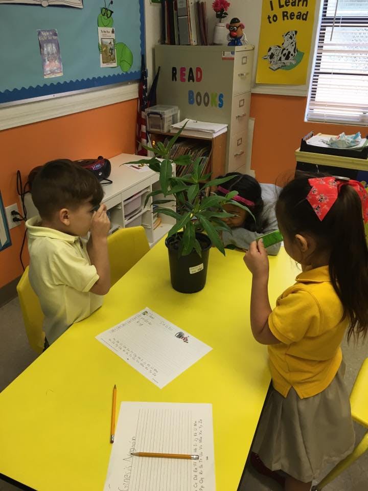 Three children at a yellow table with a potted plant in a classroom