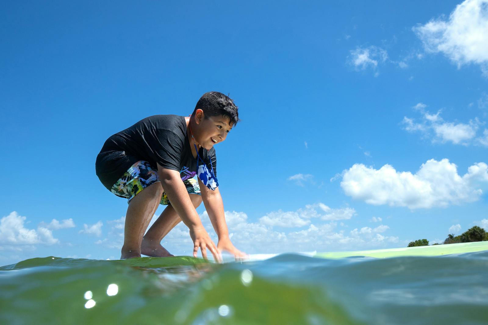 Sanibel Sea School Summer Camp in Sanibel, FL