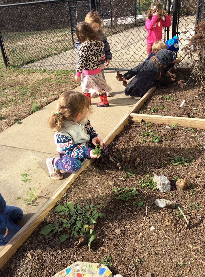 Children playing in a garden
