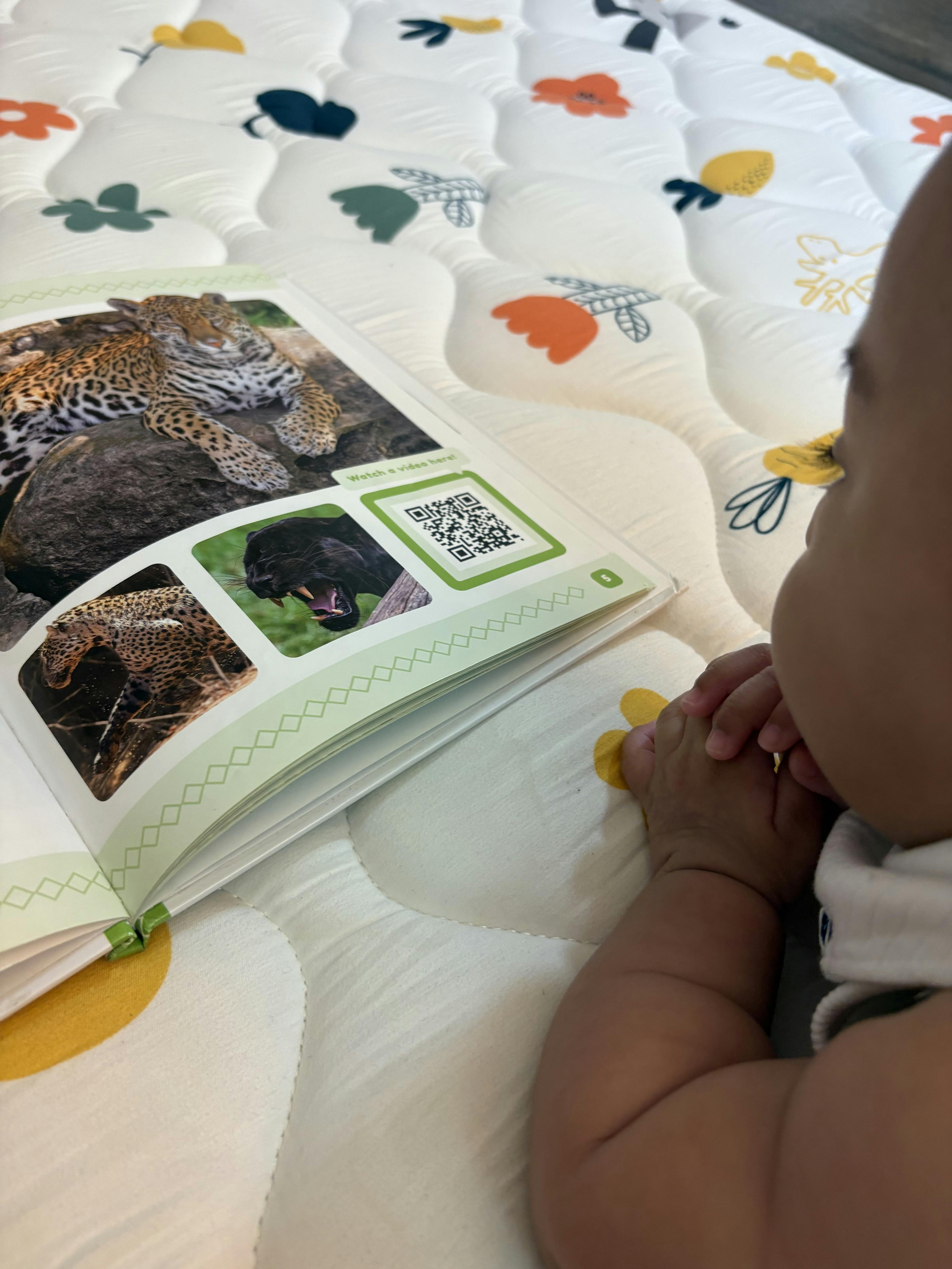 Child looking at a book with images of jaguars and a QR code