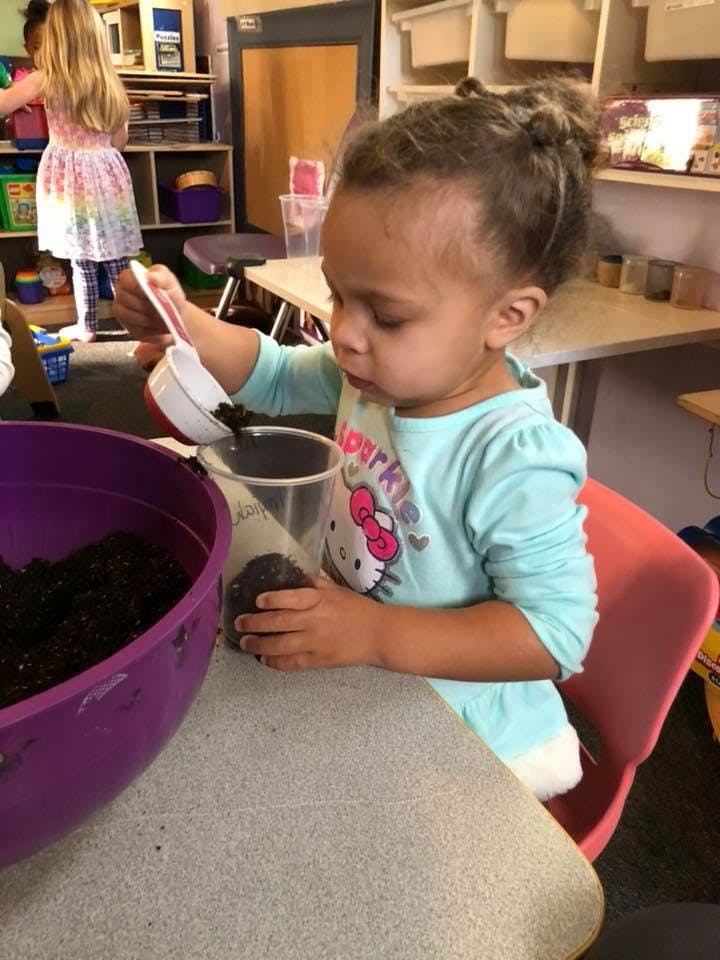 Child scooping soil from a purple bowl into a clear container