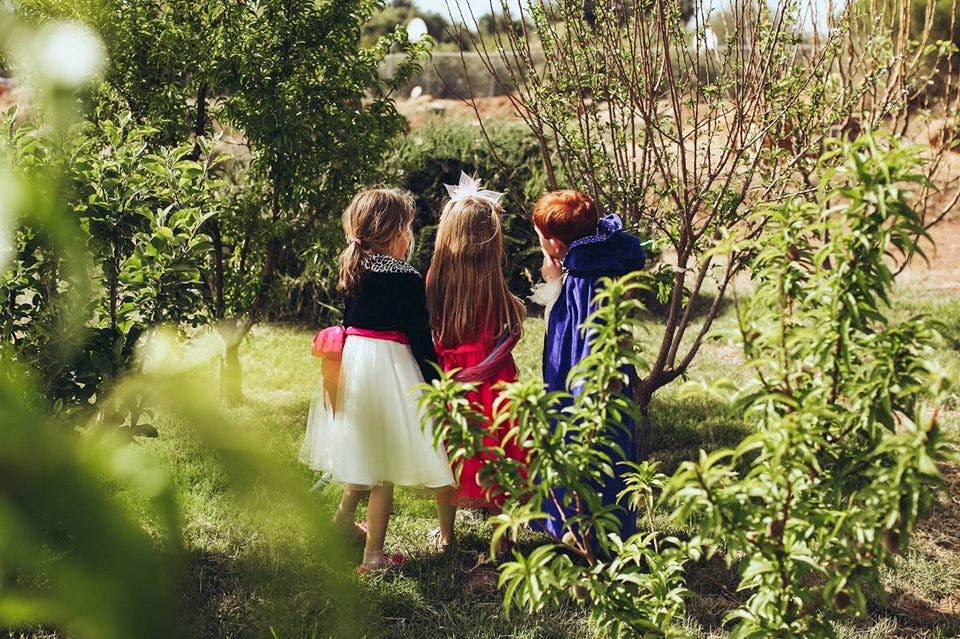 Three children standing in a garden