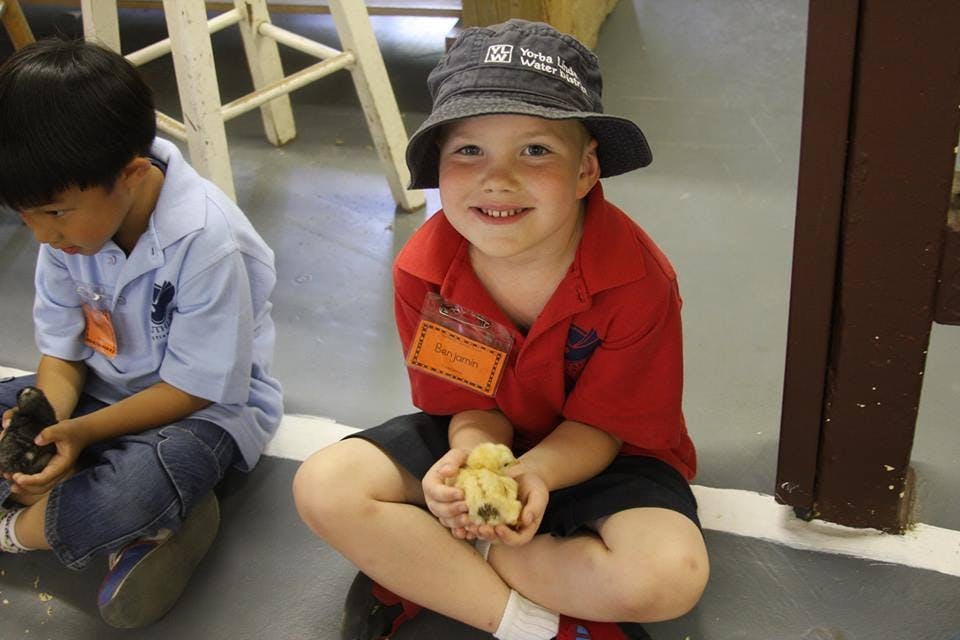 Child in hat holding a small animal, light-colored animal