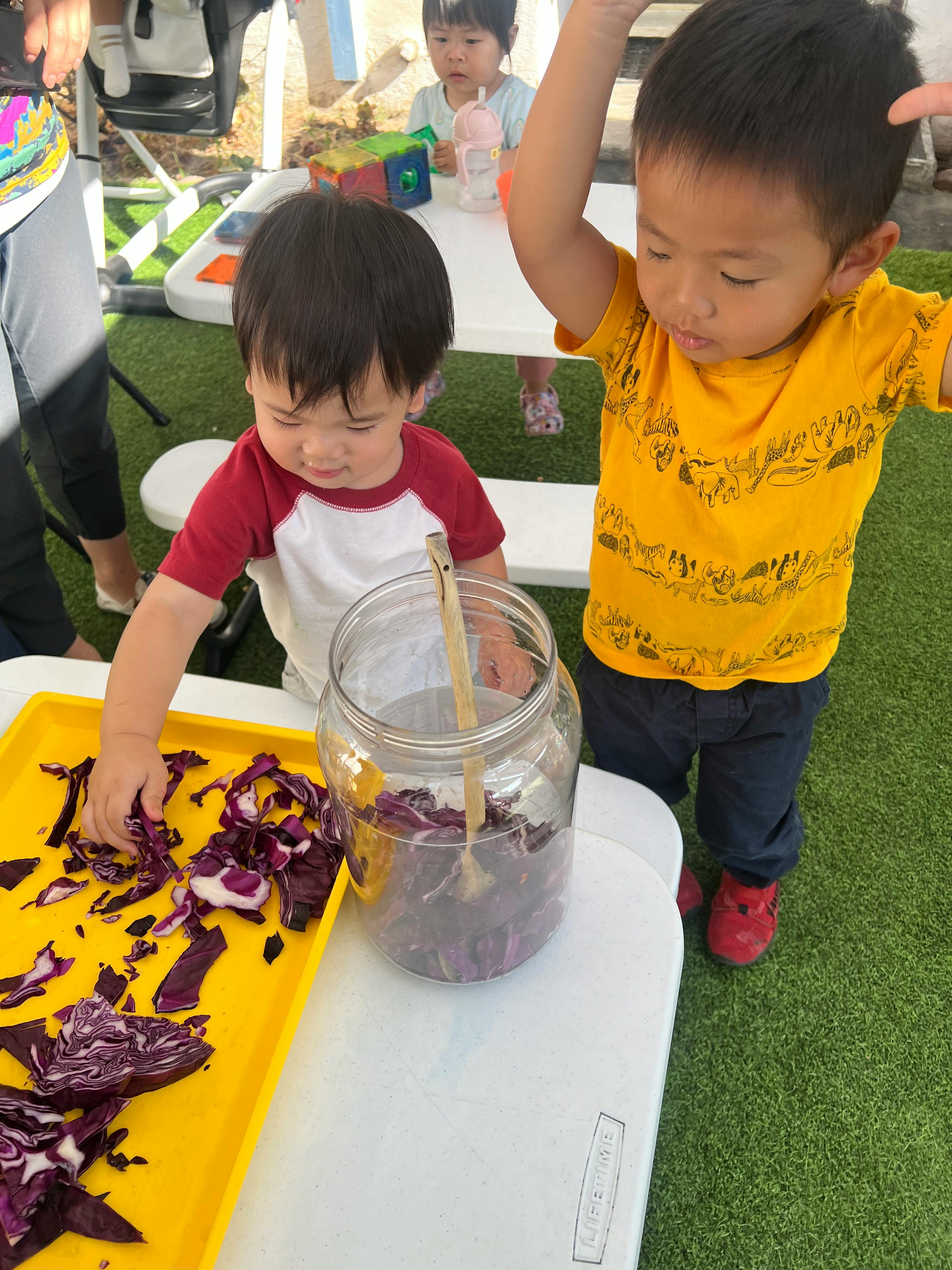 Child putting purple cabbage into a jar of water