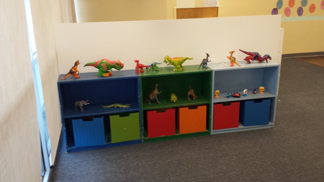 Shelving unit with colorful bins and dinosaur toys