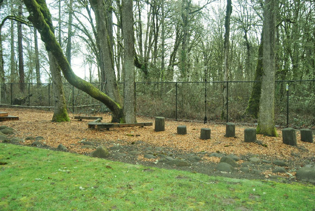 Stepping stones and logs on wood chips in a wooded area