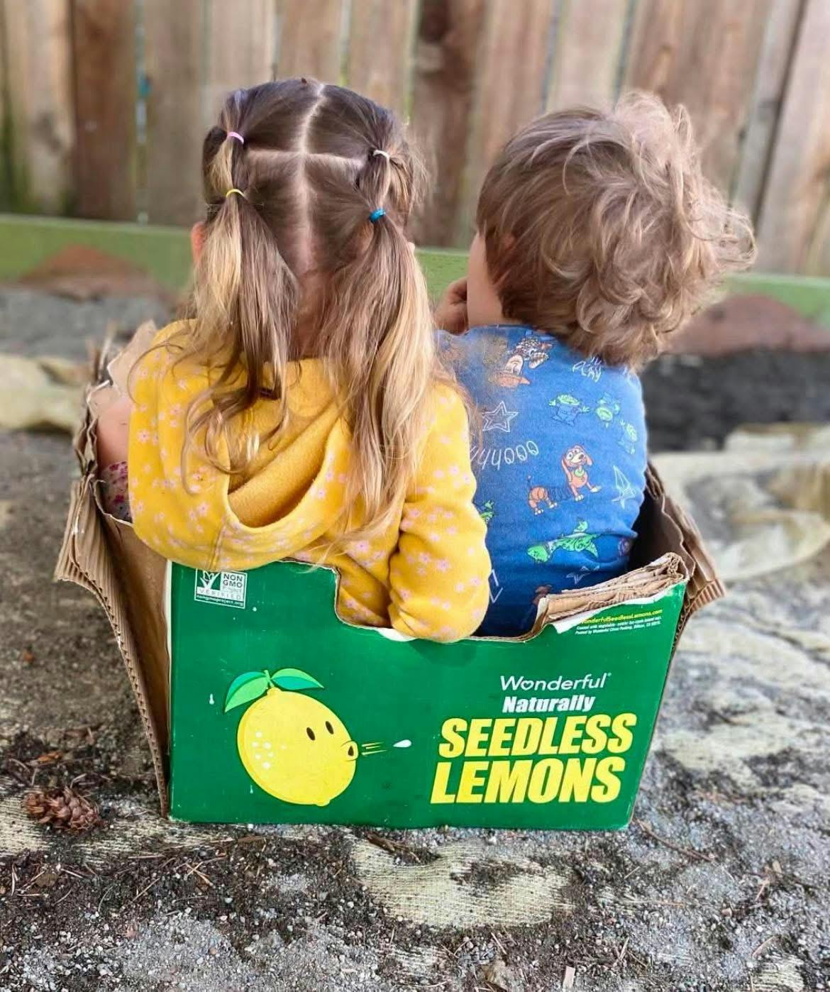Two children sitting in a cardboard lemon box