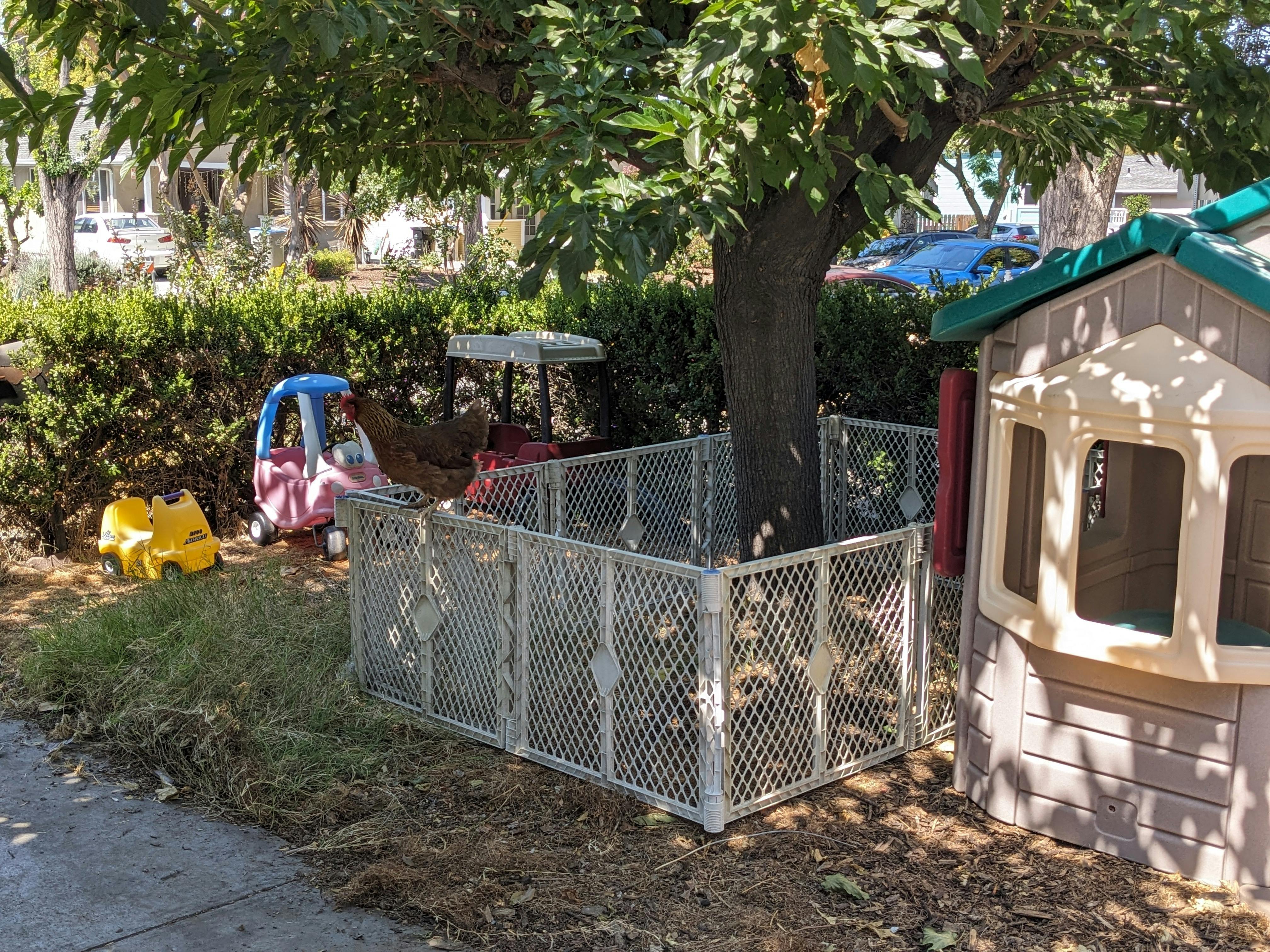 Playhouse and fenced tree with ride-on toys nearby