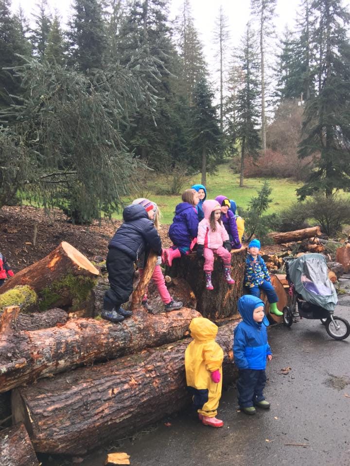Children playing on logs outdoors