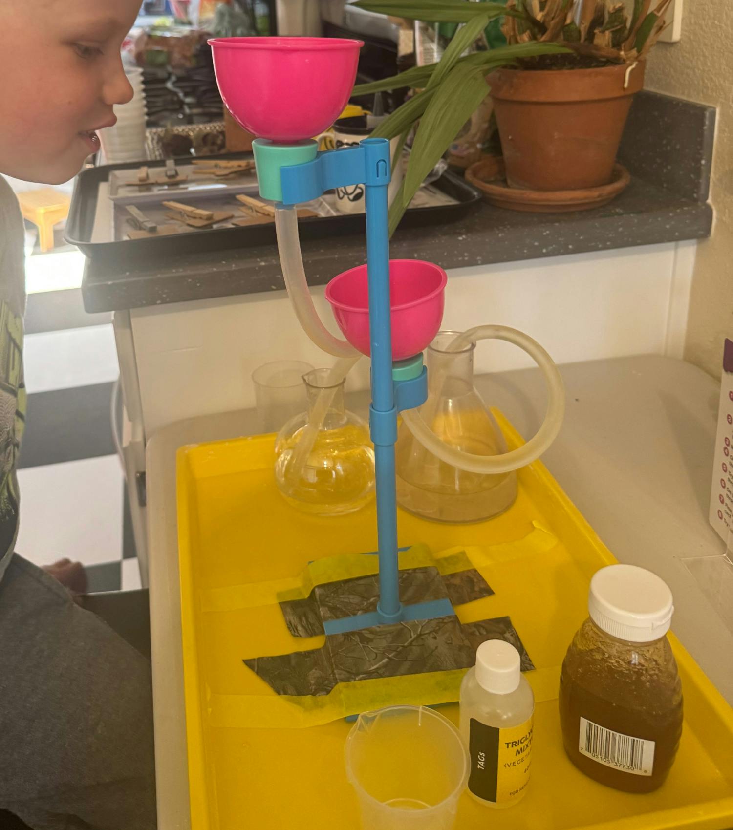 Child looking at a science experiment with funnels and beakers